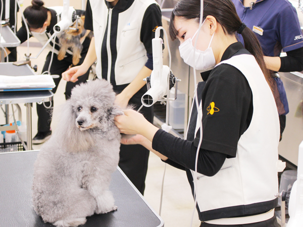 シャンプーの技術を確認♪